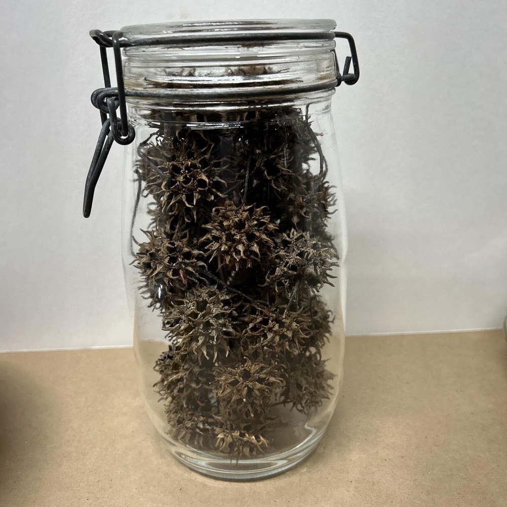 Vintage Jar With Sweet Gum Balls, Nature Craft, Sweetgum, Witchs Burrs, Display‎